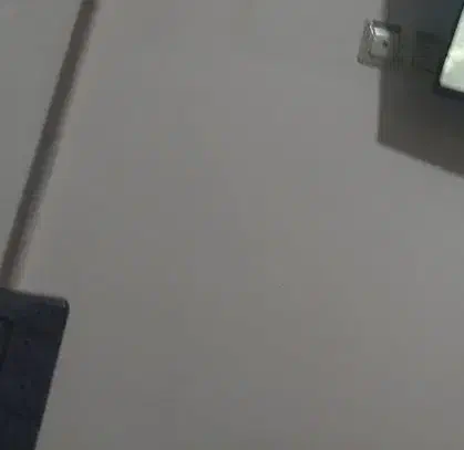 چهار عدد مولی سایز بزرگ و یکی گپی|ماهی|یزد, |دیوار