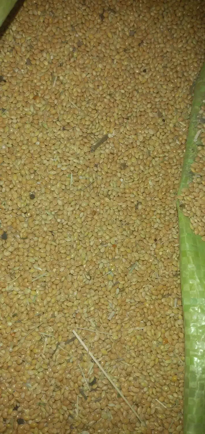 ارزن|لوازم جانبی حیوانات|یزد, |دیوار