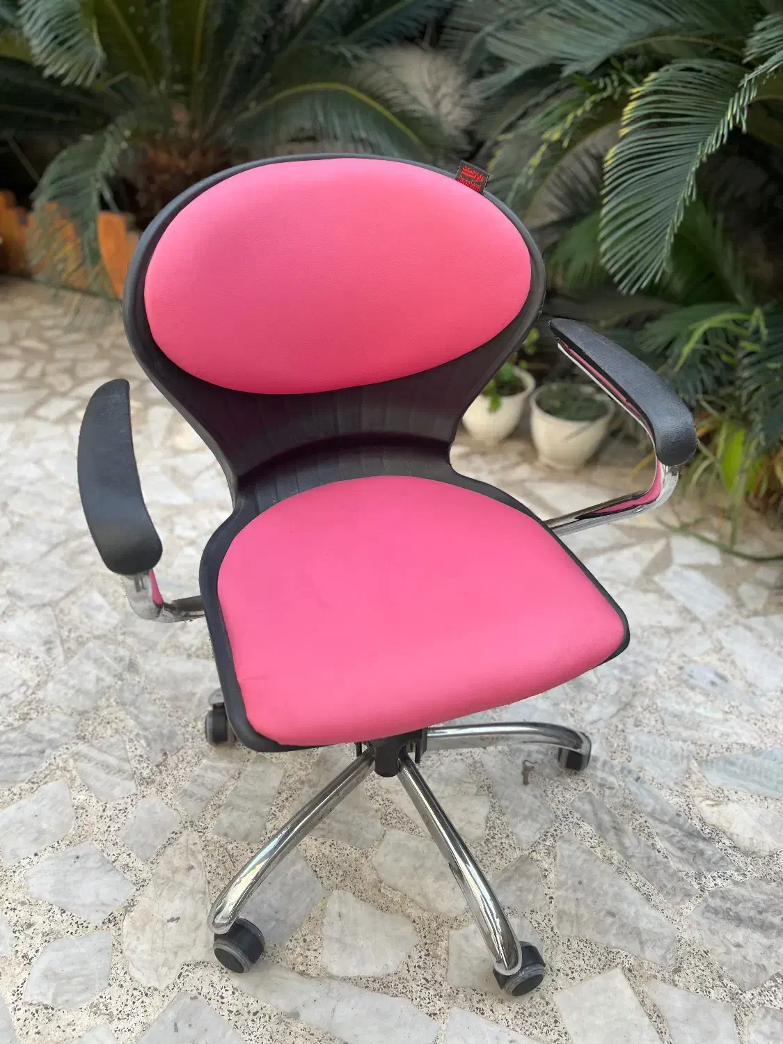 صندلی|صندلی و نیمکت|رشت, استادسرا|دیوار