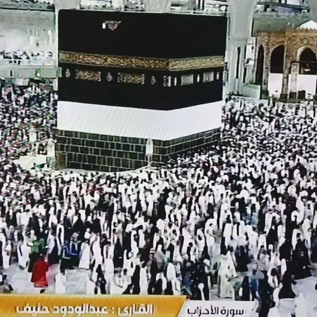 خرید و فروشی تمامی فیش های حج تمتع و عمره مفرده|تور و چارتر|قائمشهر, |دیوار