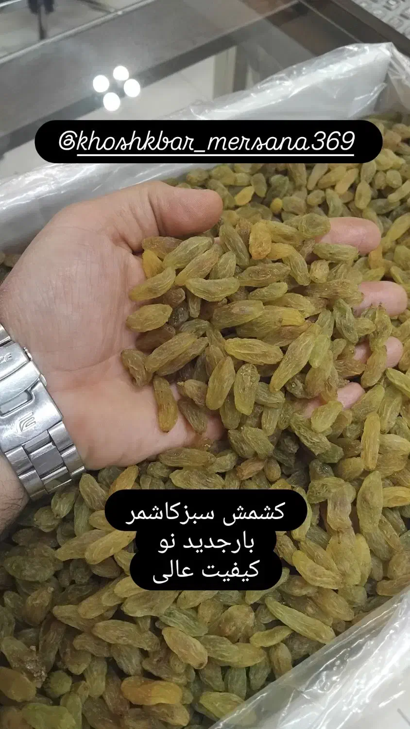 کشمش سبز کاشمر|خوردنی و آشامیدنی|ابریشم, |دیوار