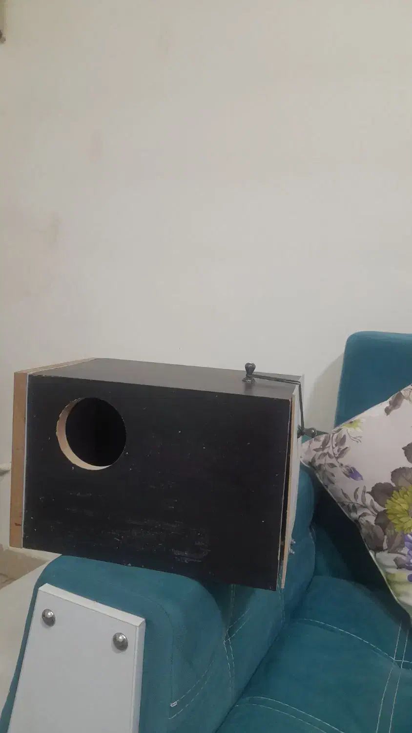 لونه عروس هلندی|لوازم جانبی حیوانات|اندیشه, اندیشه فاز ۱|دیوار