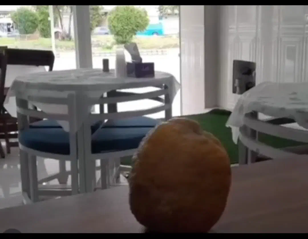 اجاره رستوران ستاره شهر در چرام|اجارهٔ مغازه و غرفه|چرام, |دیوار