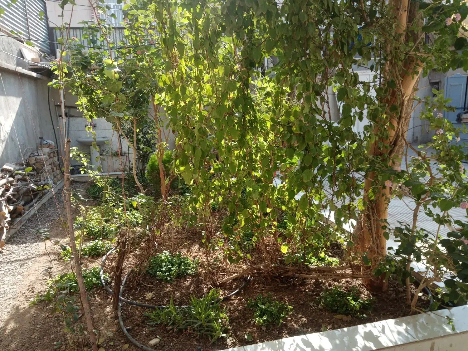 خانه ویلایی کلنگی ۲۰۰ متر|فروش خانه و ویلا|قم, نیروگاه|دیوار