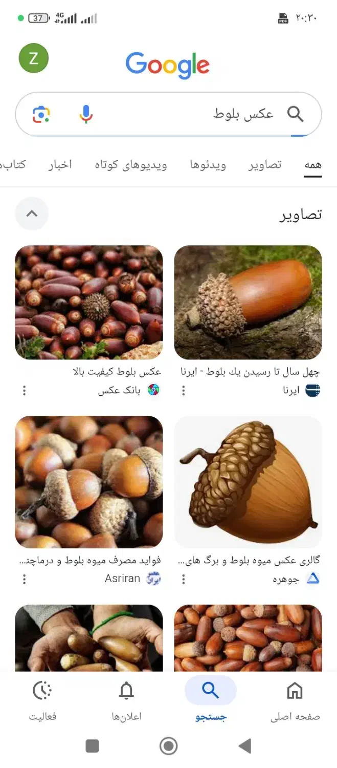 بلوط|حیوانات مزرعه|دهدشت, |دیوار