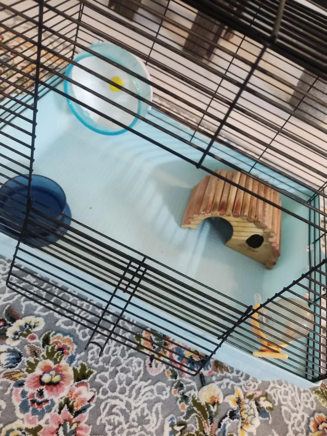 قفس همستر|لوازم جانبی حیوانات|تهران, شادآباد|دیوار