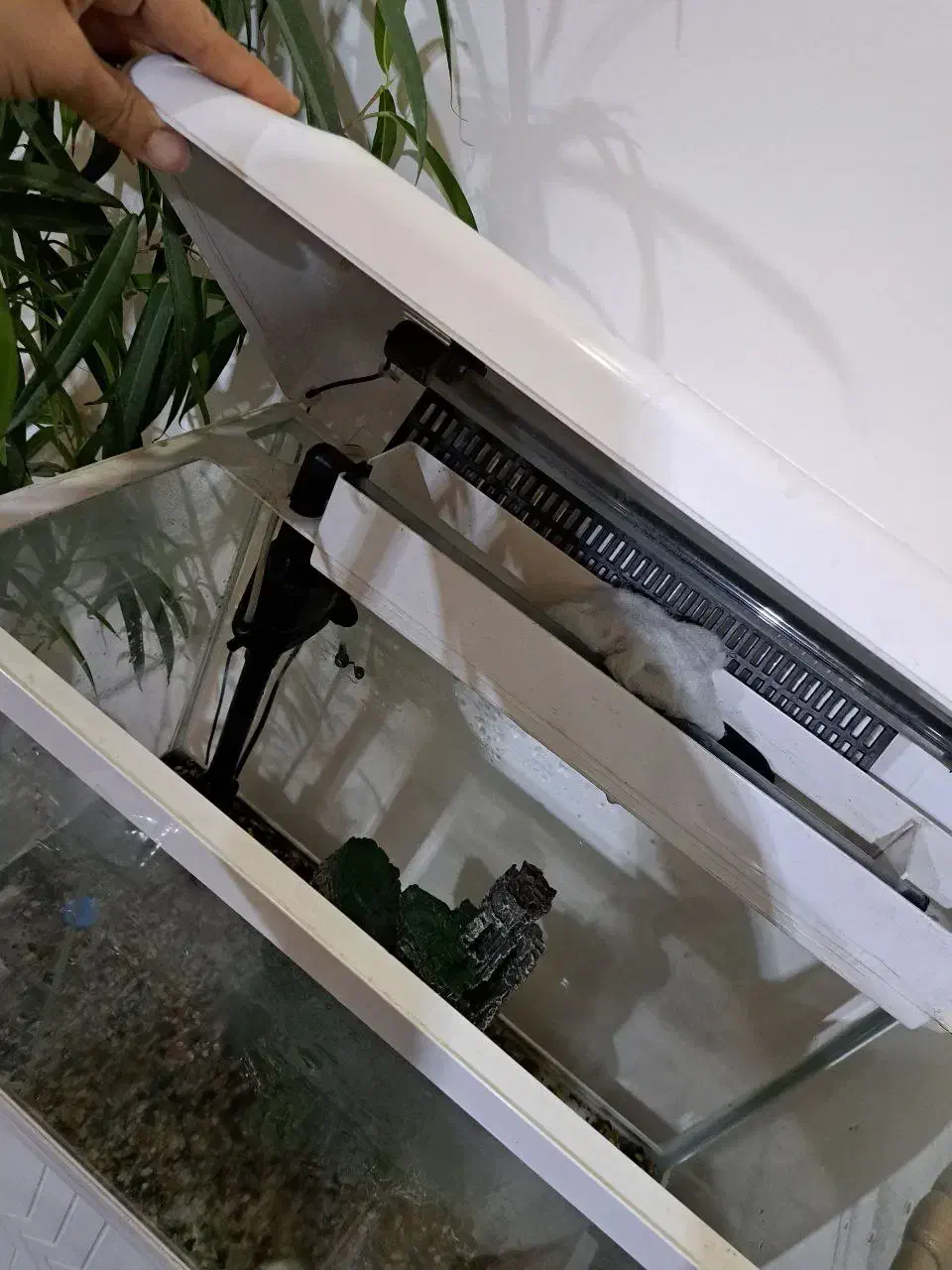 آکواریوم|ماهی|فردیس, شهرک راه آهن|دیوار