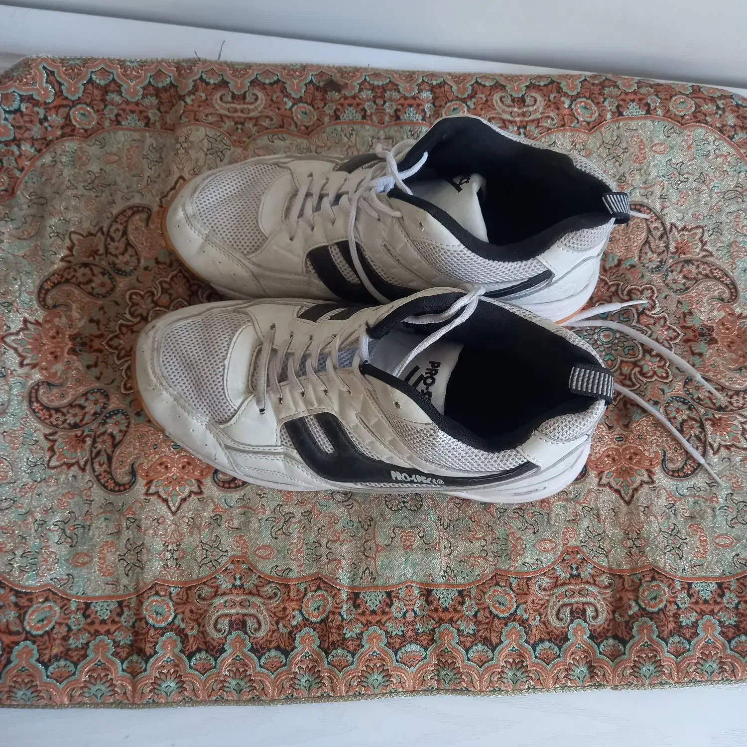 کفش والیبال اف ۴۴|ورزشهای توپی|قم, نیروگاه|دیوار