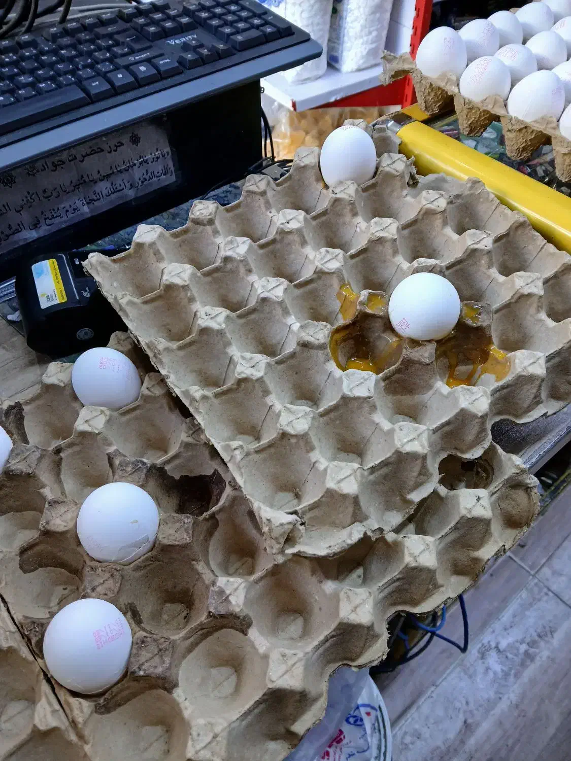 خریدار ضایعات.کارتن|خدمات پیشه و مهارت|اصفهان, مشکین|دیوار