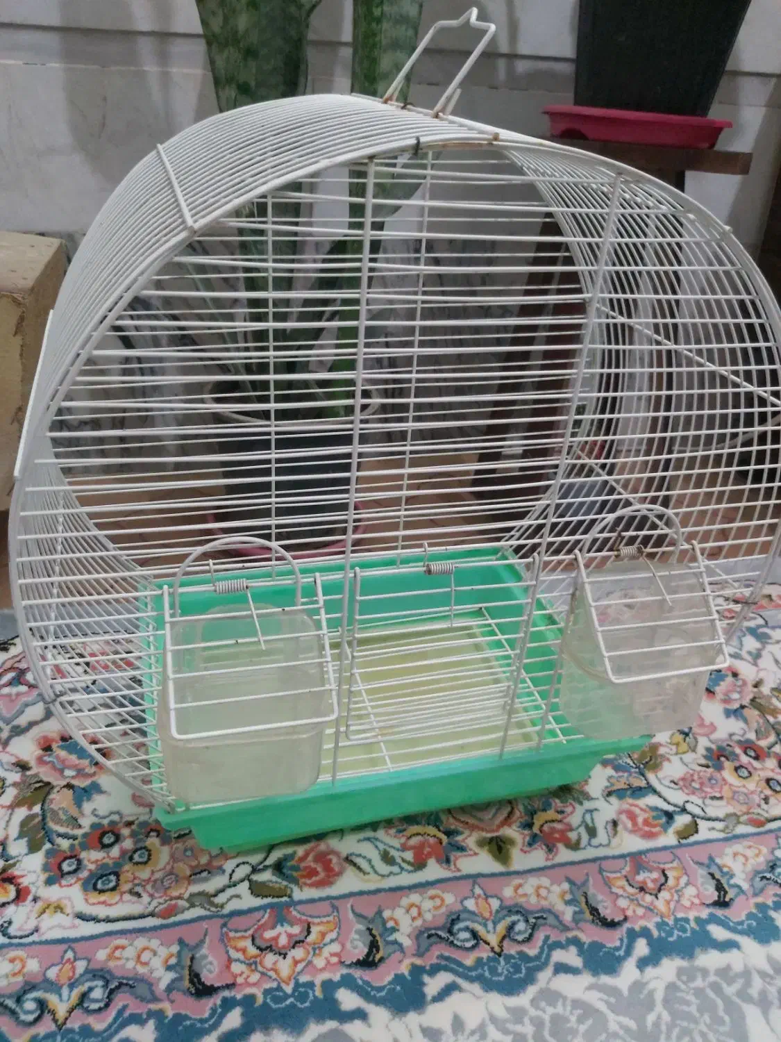 قفس عروس و کوتوله|لوازم جانبی حیوانات|قم, انصارالحسین|دیوار