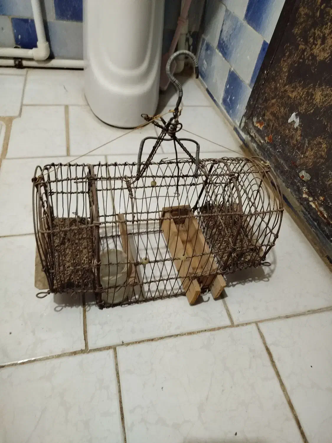 سهره و قفس سهره|پرنده|شهریار, شهرک بهاران (ویره)|دیوار