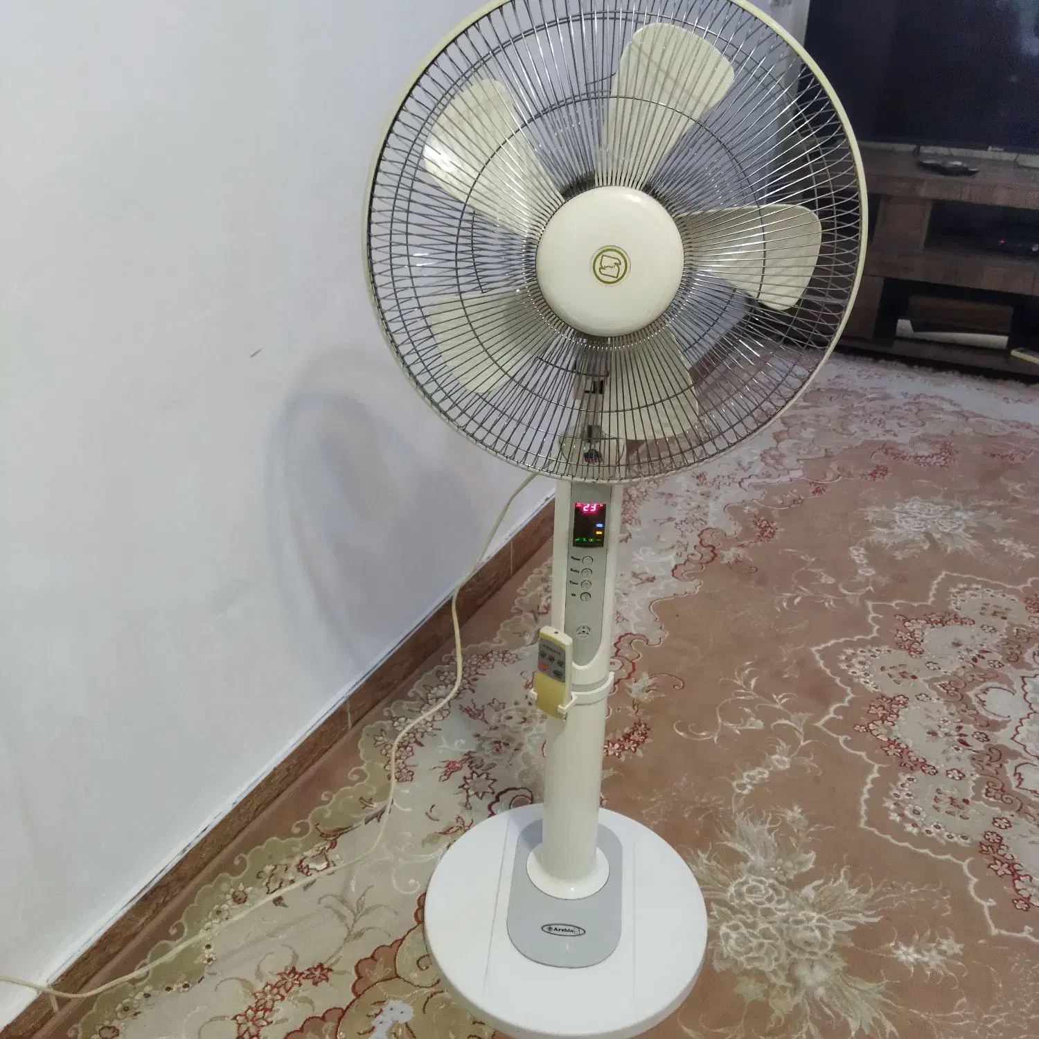 پنکه ایستاده ارشیا کنترلی|پنکه و تصفیه‌کنندهٔ هوا|رشت, دیانتی|دیوار