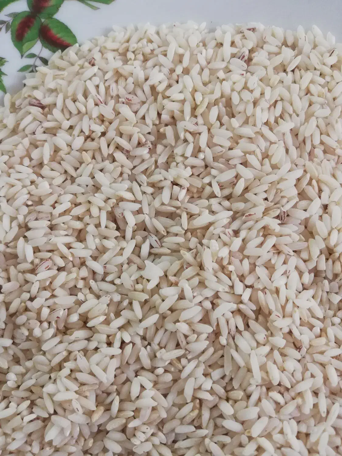 فروش برنج محلی خانگی|خوردنی و آشامیدنی|شوشتر, |دیوار