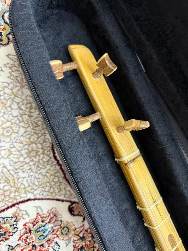 سه تار|سازهای سنتی|پردیس, فاز ۸|دیوار