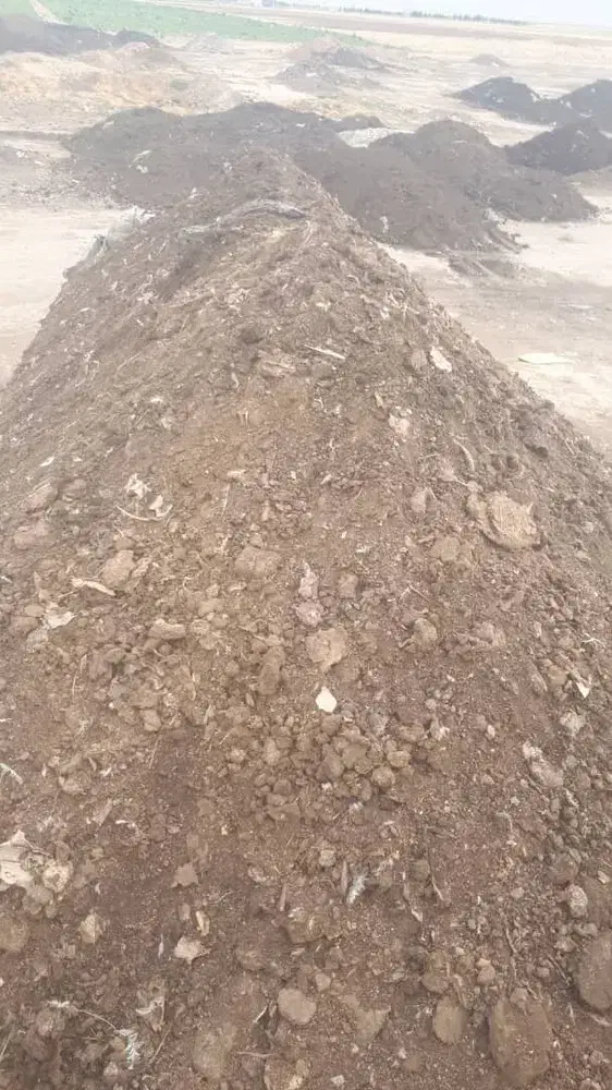 مرغ کودمرغی|خدمات باغبانی و درختکاری|تفتان, |دیوار