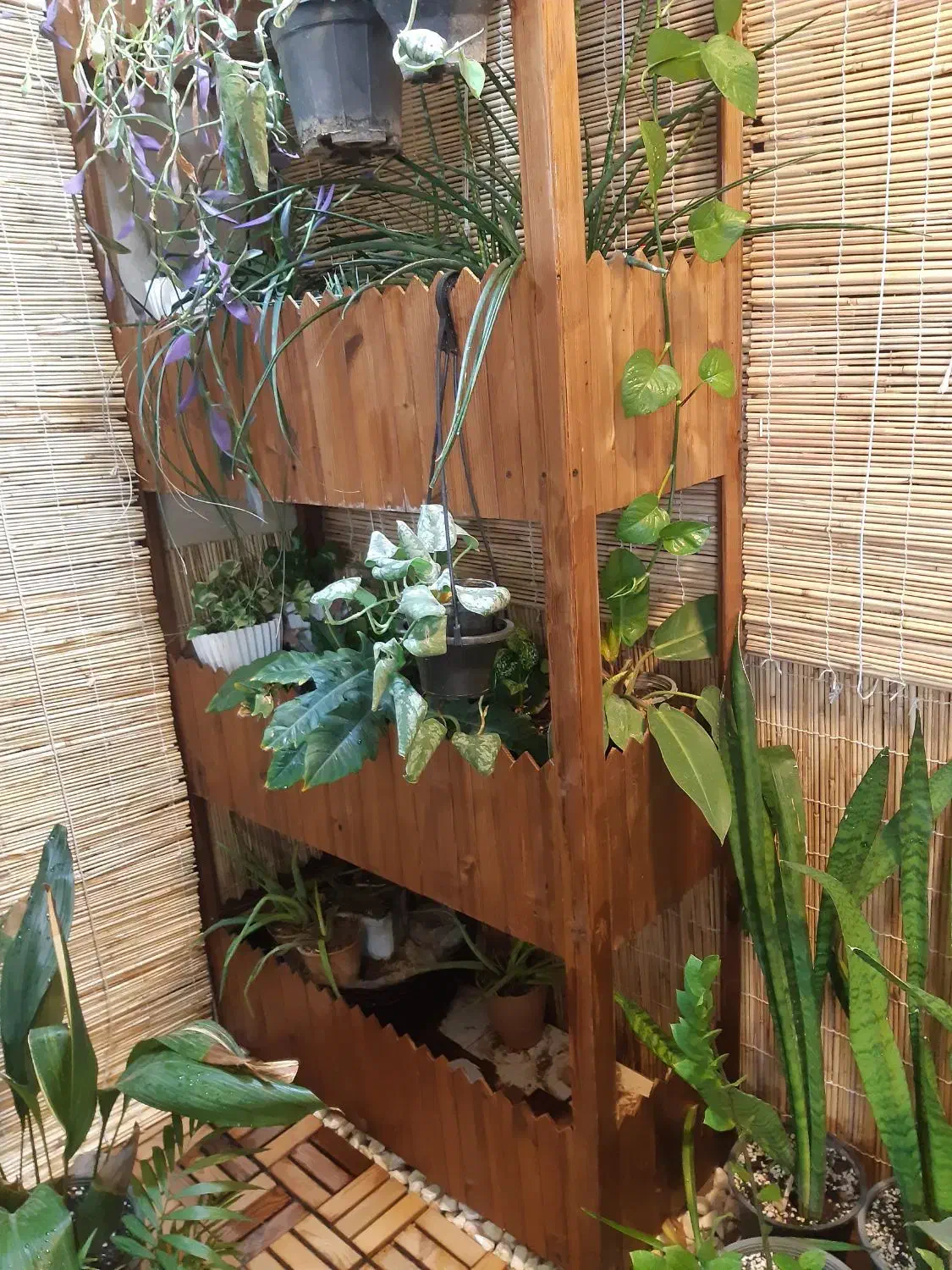 استند گل|گل و گیاه طبیعی|خمینی‌شهر, |دیوار