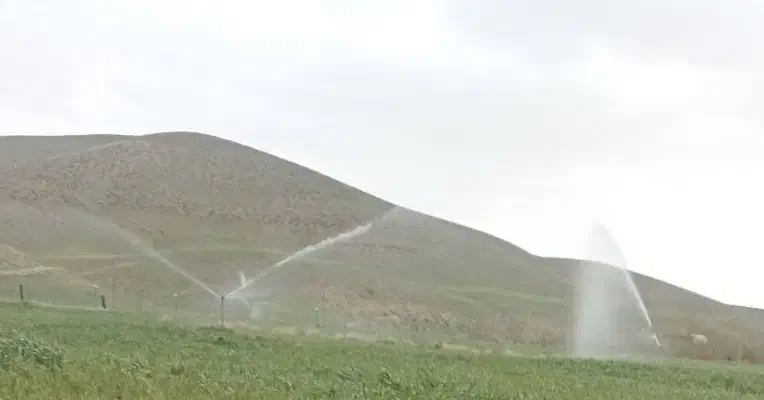 اجاره زمین کشاورزی|اجارهٔ دفتر صنعتی، کشاورزی، تجاری|دیواندره, |دیوار