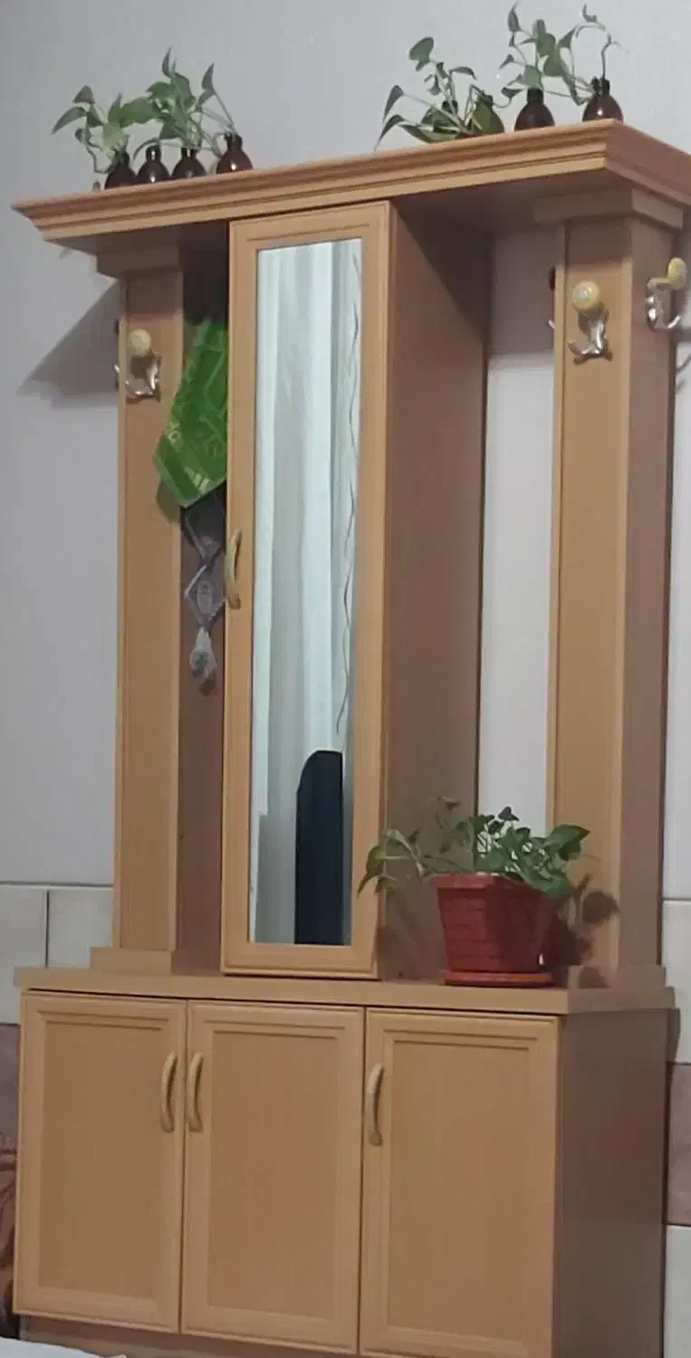 جاکفشی کمد دار|جاکفشی، کمد، دراور|فسا, |دیوار