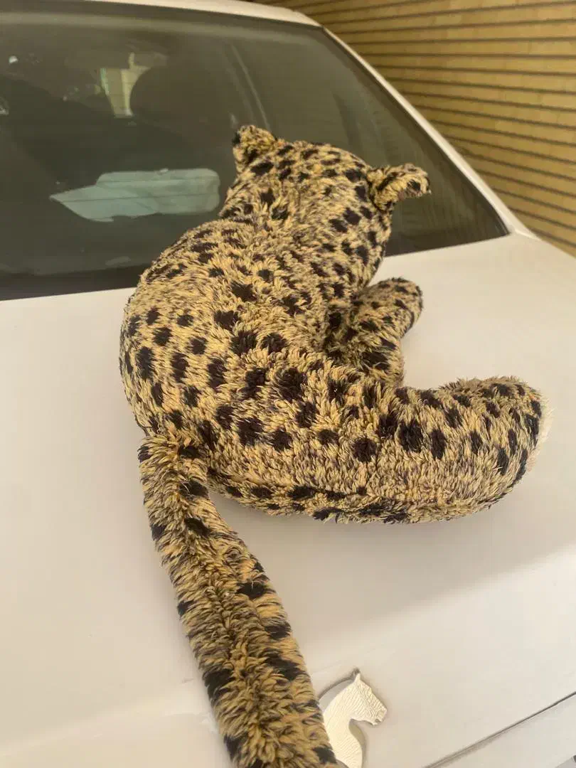 ببر پارچه ای خارجی زیبا|اسباببازی بچه|قزوین, |دیوار