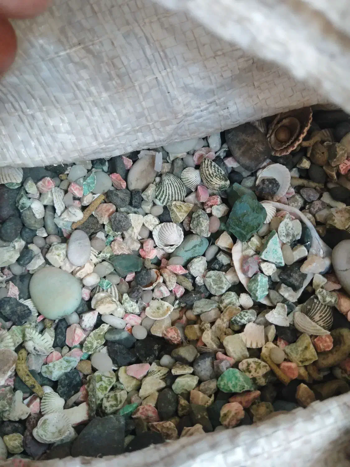 سنگ و گوش ماهی اکواریوم|ماهی|سبزوار, چهارراه فرودگاه|دیوار