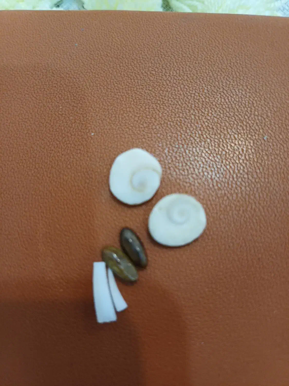 مهره اصل|بدلیجات|اهواز, کوروش|دیوار