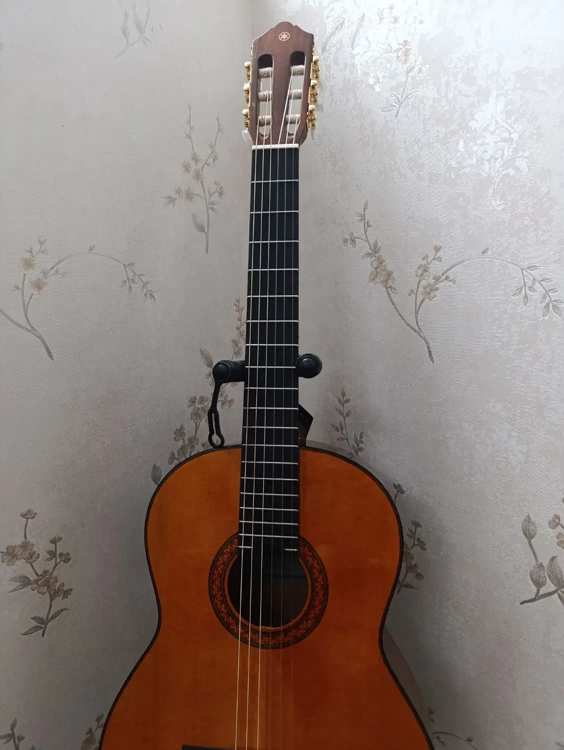 گیتار یاماها c70|گیتار، بیس، امپلیفایر|اصفهان, گلزار|دیوار