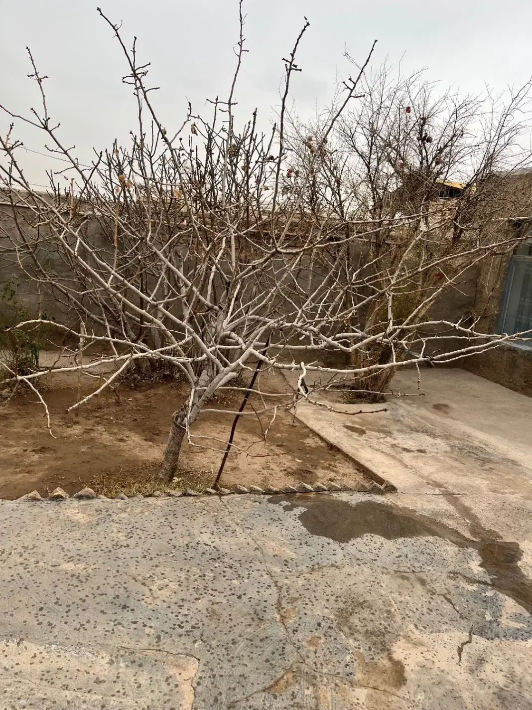 خانه ویلایی|فروش خانه و ویلا|بوئین زهرا, |دیوار