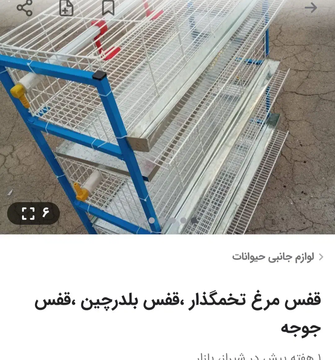 قفس مخصوص بلدرچین و کبوتر ومرغ|لوازم جانبی حیوانات|شنبه و طسوج, |دیوار