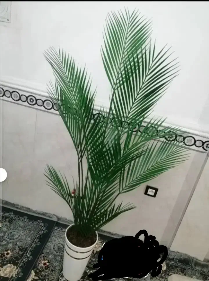 گل مصنوعی و ترند. تک فروشی و عمده|گل مصنوعی|محمدشهر, شهرک پیام (مهرالبرز)|دیوار