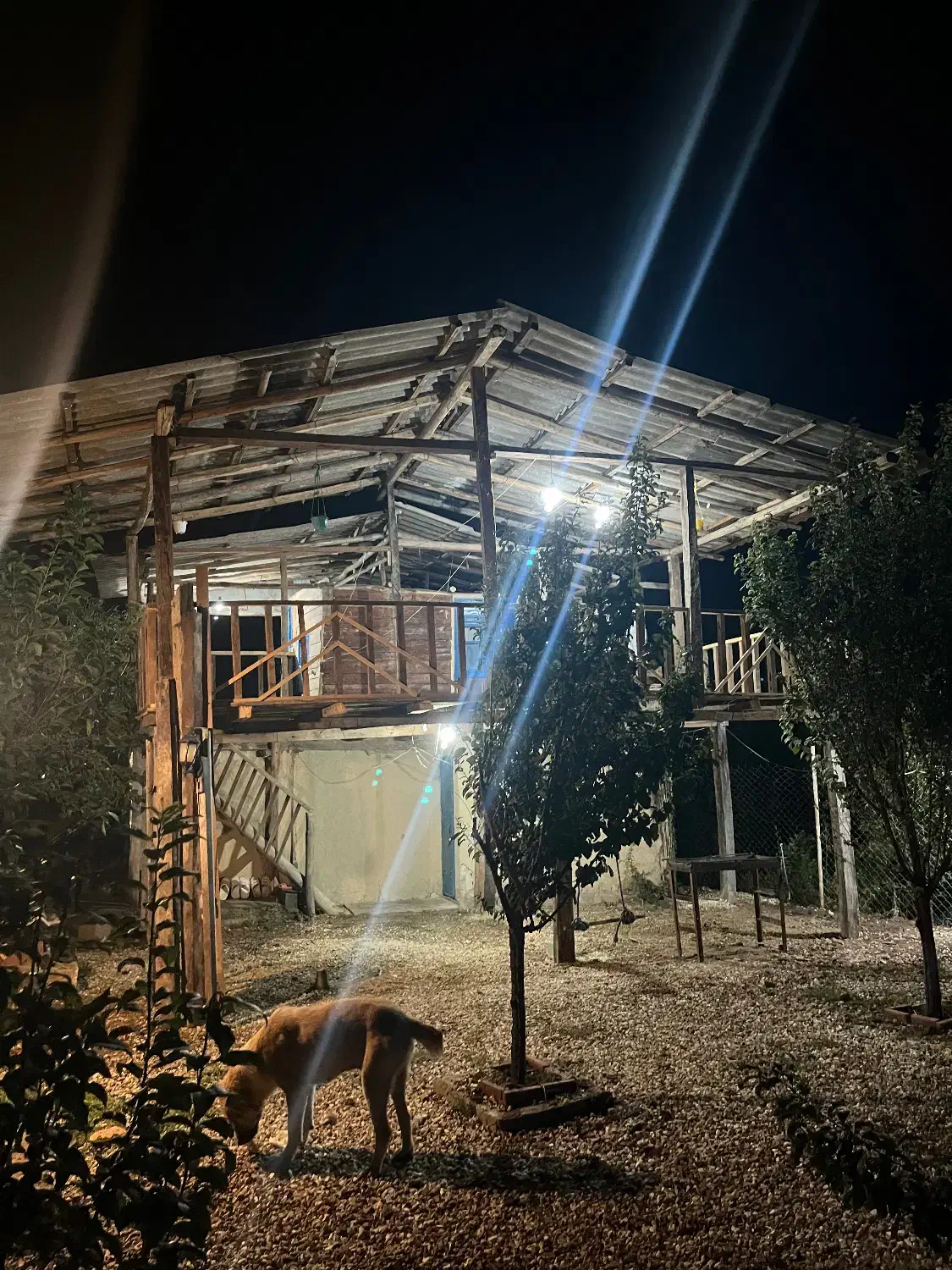 خونه باغ شموشک بالا|فروش زمین و ملک کلنگی|گرگان, |دیوار