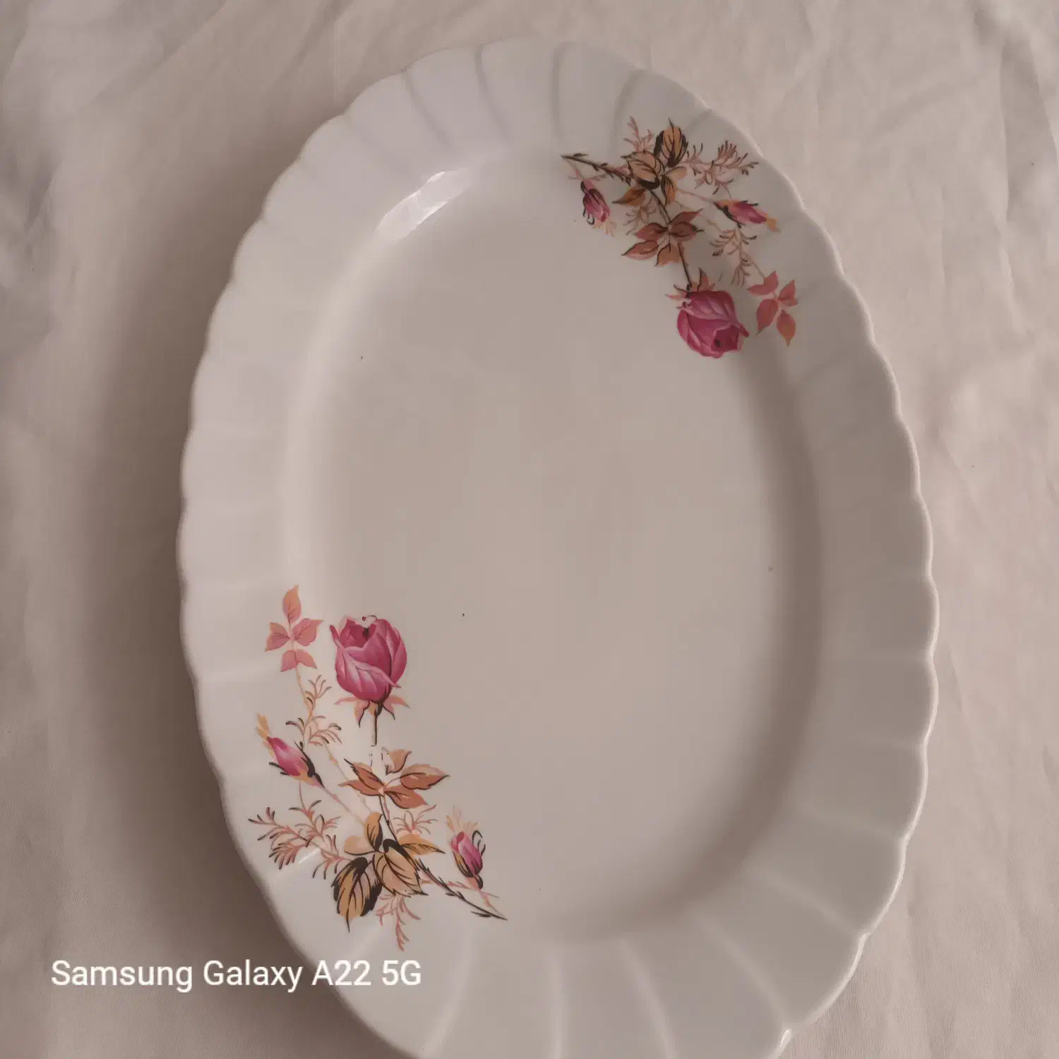 دیس زرین نو|ظروف سرو و پذیرایی|شهرکرد, |دیوار