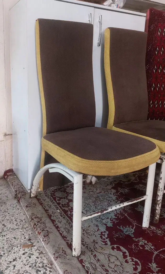 صندلی تالاری|میز و صندلی غذاخوری|گنبد کاووس, |دیوار