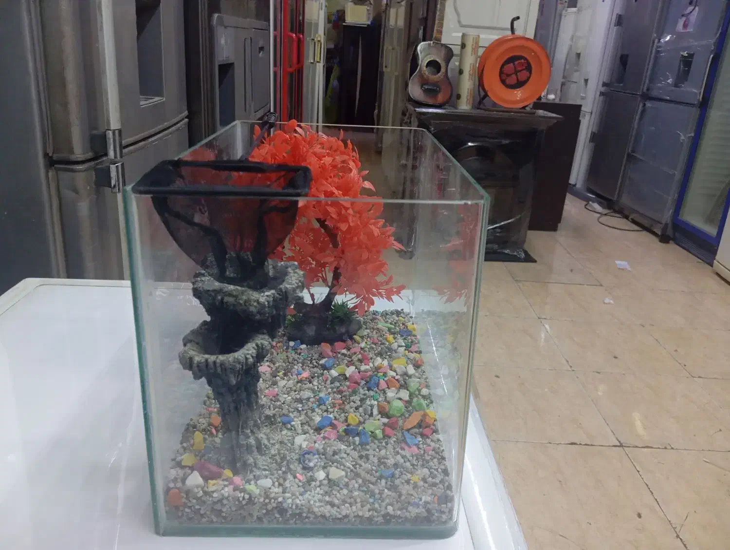 آکفاریوم|ماهی|نسیمشهر, |دیوار