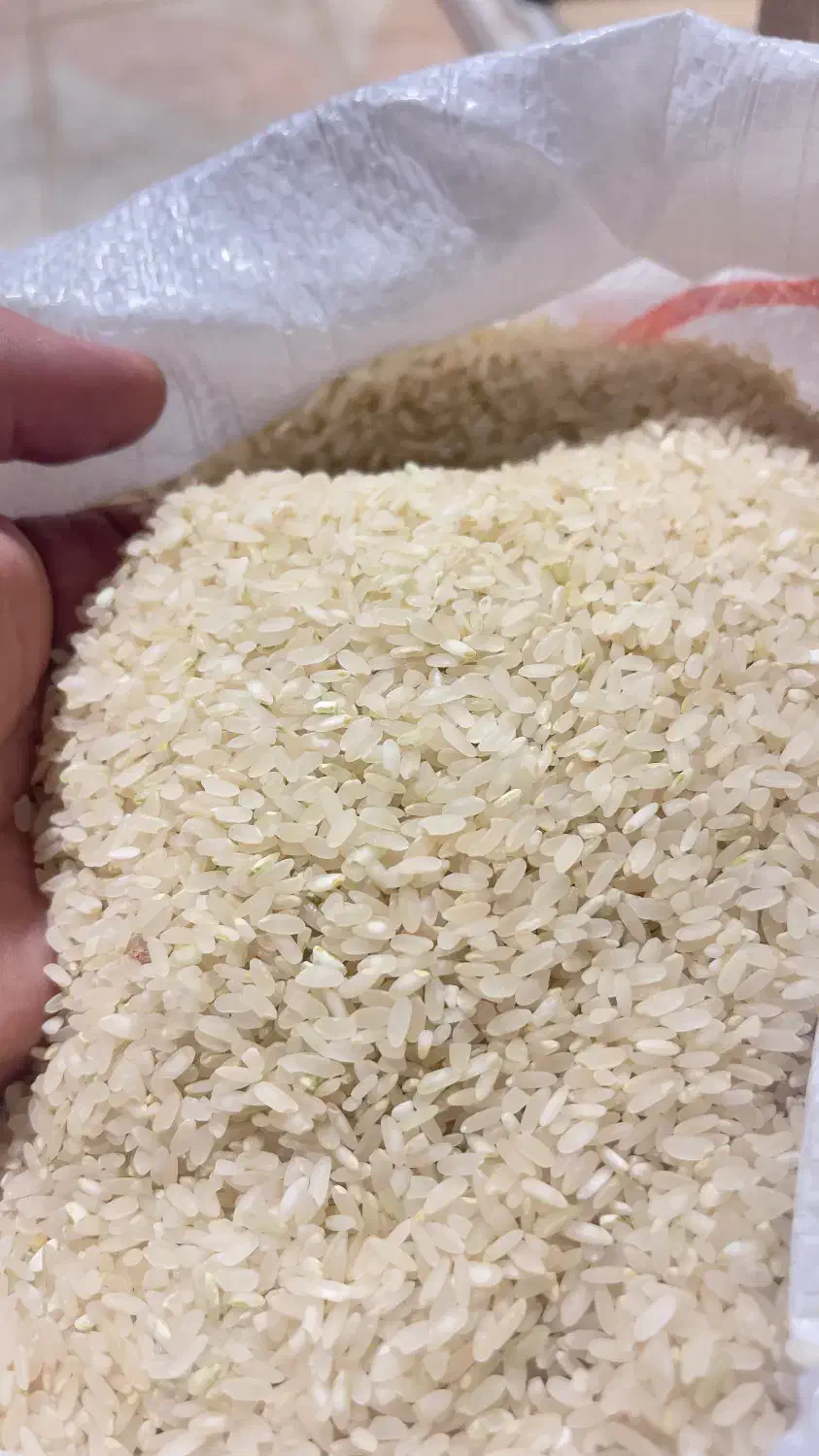 برنج کامفیروزی درجه یک به شرط پخت|خوردنی و آشامیدنی|شیراز, رکن‌آباد|دیوار