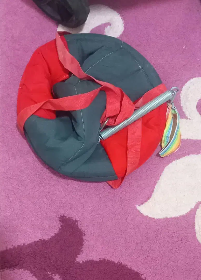 سرویس کالسکه|کالسکه و لوازم جانبی|مشهد, نوید|دیوار