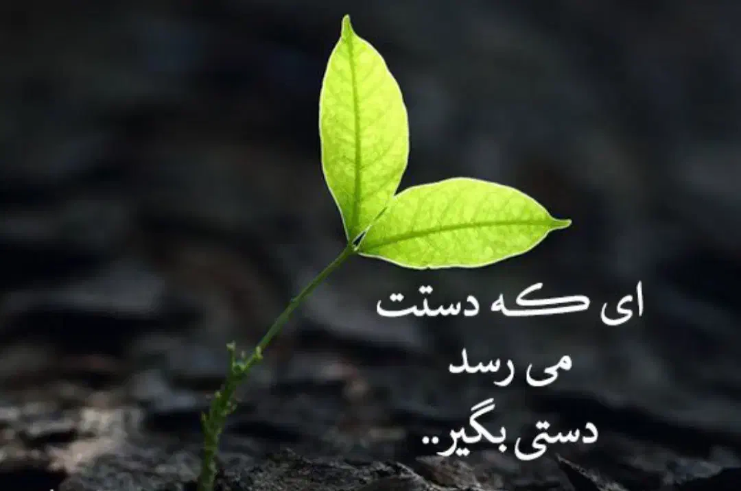 نیازمندکمک|فعالیت داوطلبانه|اهواز, کیانشهر|دیوار