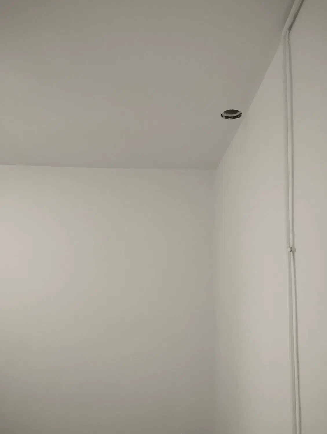 تزینات بلکا نصب و اجرا نصاب کاغذ دیواری گچکاری|خدمات پیشه و مهارت|تهران, یافت‌آباد|دیوار