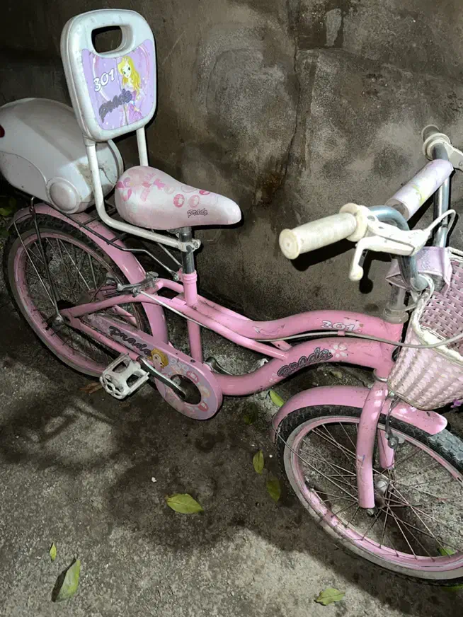 دوچرخه بچگانه صورتی ۱۶|دوچرخه، اسکیت، اسکوتر|گرگان, |دیوار