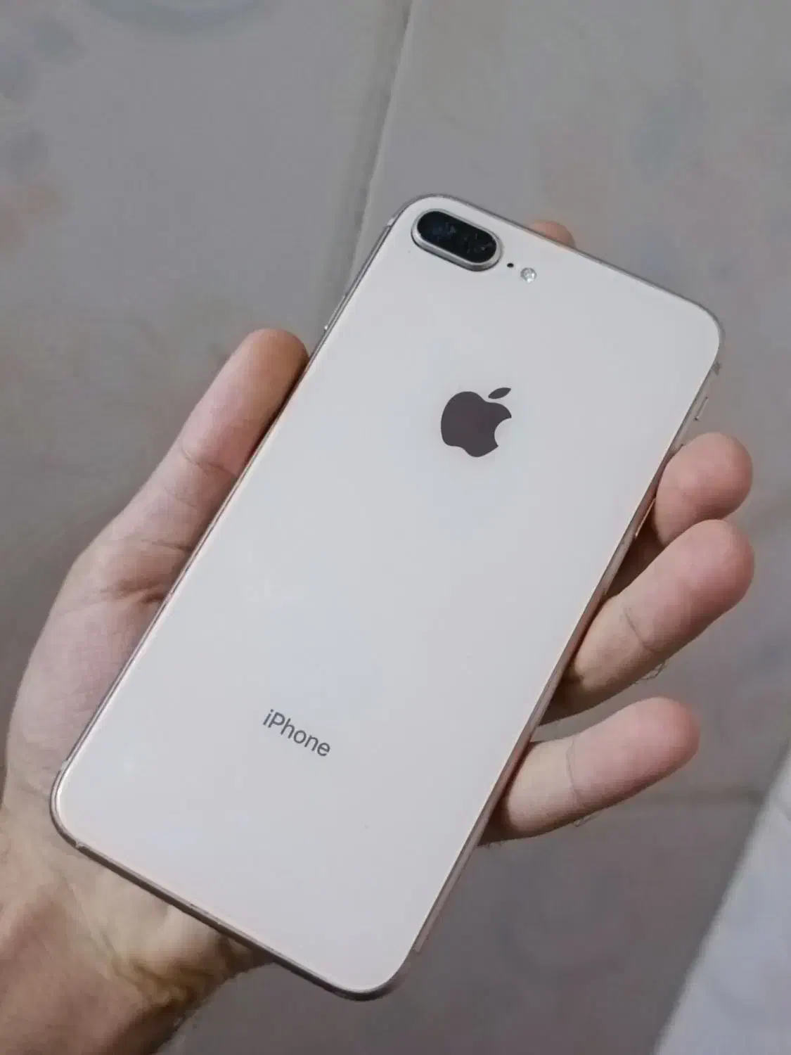 iPhone 8 Plus 64 GB|موبایل|دزفول, |دیوار