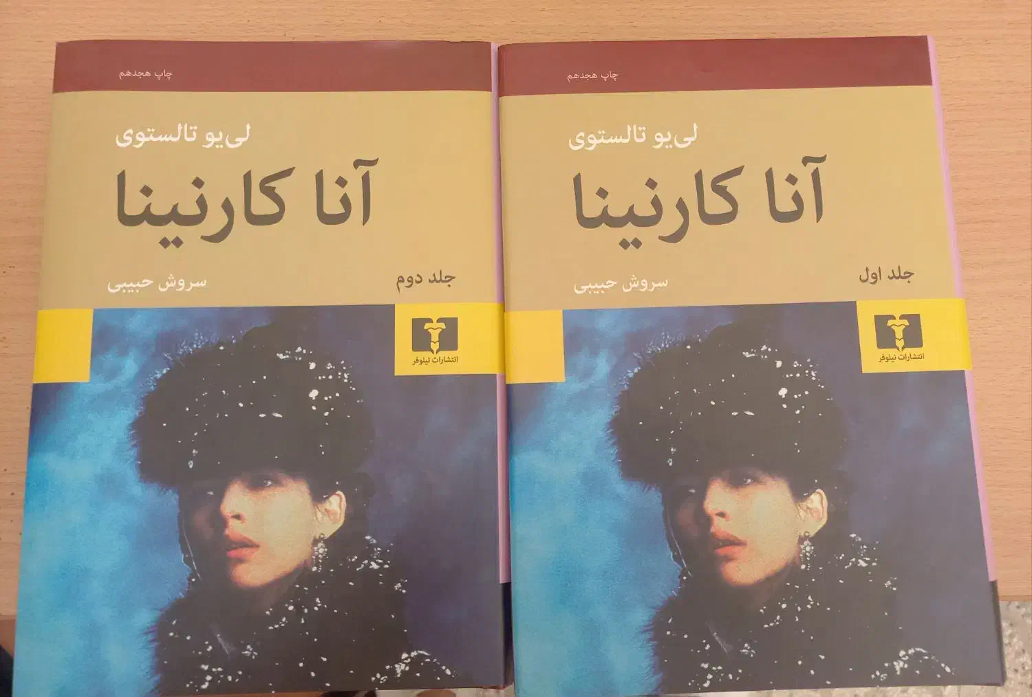 کتاب آناکارنینا|کتاب و مجله ادبی|تهران, بیسیم|دیوار