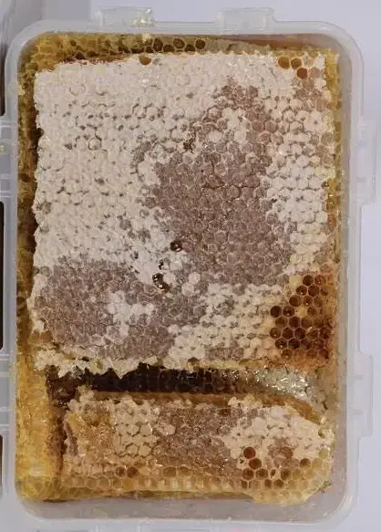 شیرینی جات و سوغاتی|خدمات پذیرایی، مراسم|اردبیل, |دیوار