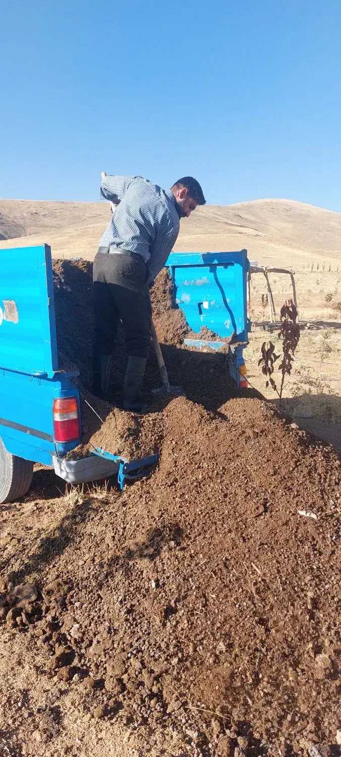 کود حیوانی|خدمات باغبانی و درختکاری|سنندج, |دیوار