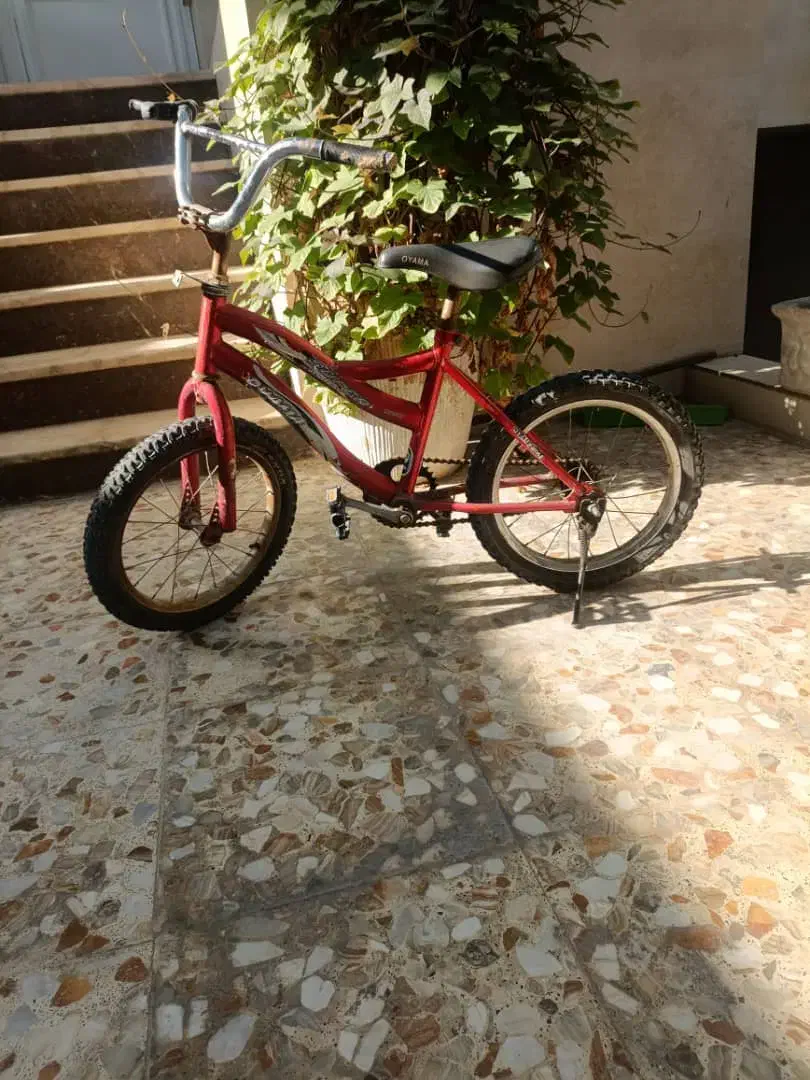 دوچرخه|دوچرخه، اسکیت، اسکوتر|برازجان, |دیوار