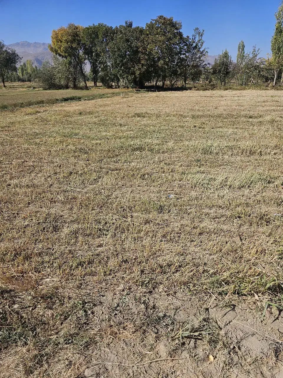 زمین مناسب باغ و ویلا 1300متر|فروش زمین و ملک کلنگی|گلپایگان, |دیوار