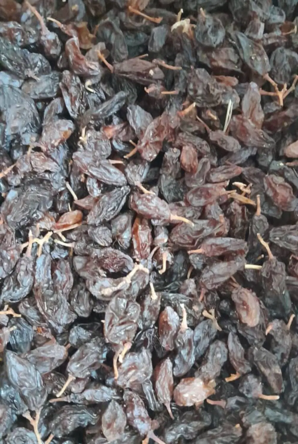 میوه|خوردنی و آشامیدنی|کوه چنار, |دیوار