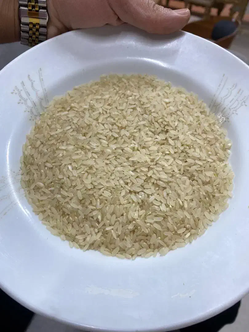 برنج کامفیروز|خوردنی و آشامیدنی|صدرا-فارس, فاز ۱|دیوار