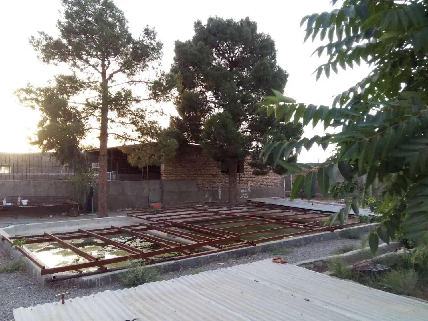 ۱۵۰۰ متر باغ سنددار|فروش دفتر صنعتی، کشاورزی، تجاری|کویرات, |دیوار