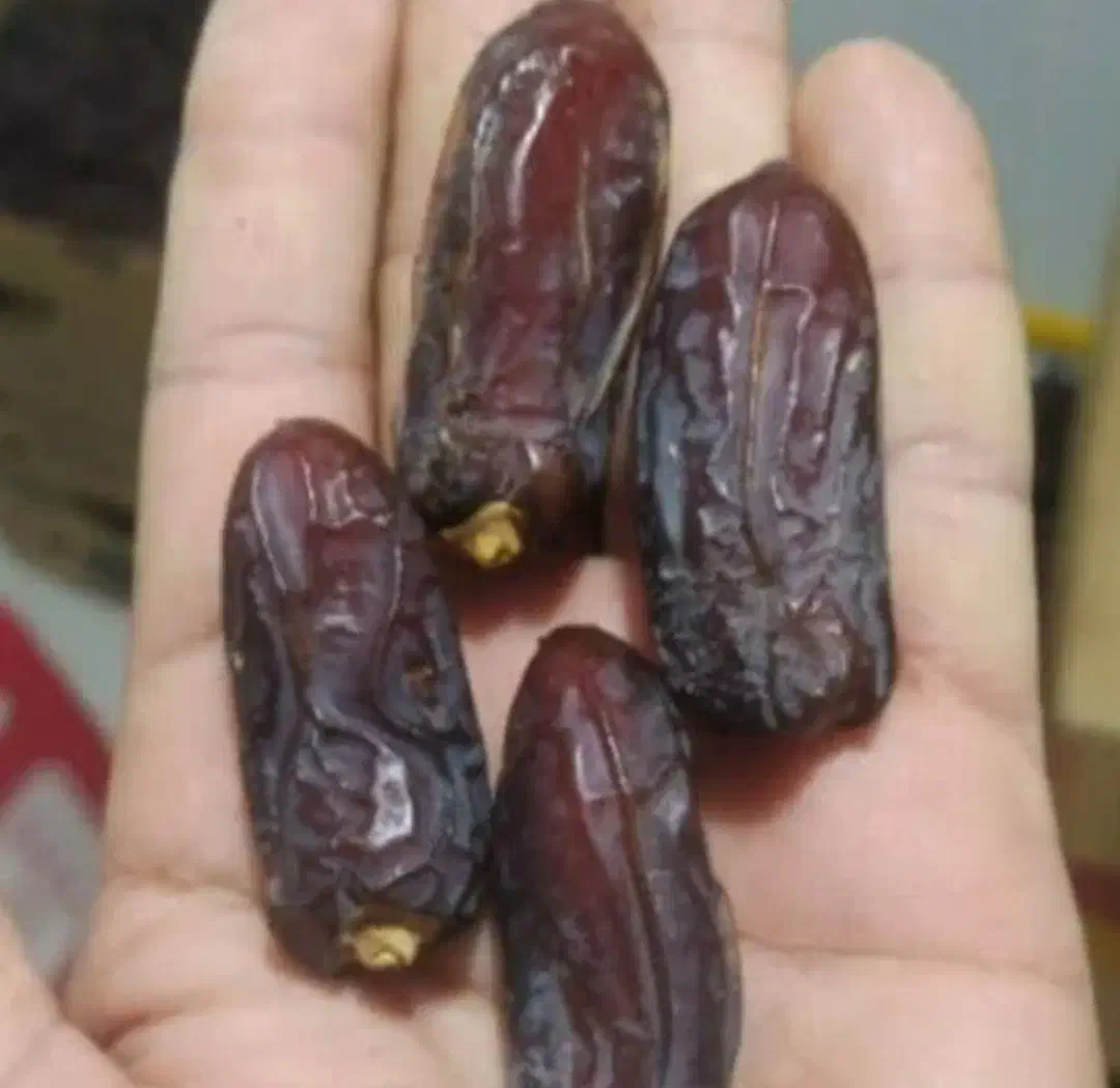 خرمای آجیلی|خوردنی و آشامیدنی|لامرد, |دیوار
