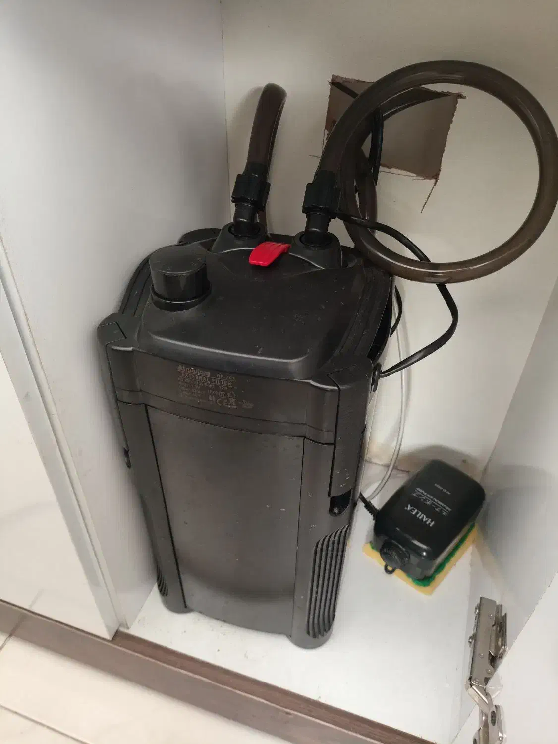 آکواریوم با کلیه وسایل،|ماهی|هشتگرد, شهرک صبا سوله|دیوار