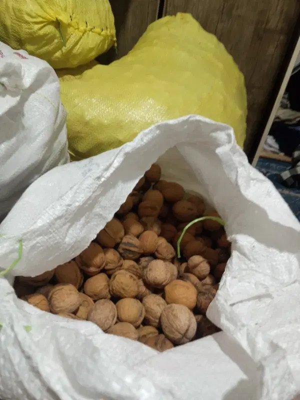 گردو|خوردنی و آشامیدنی|یاسوج, |دیوار